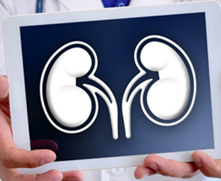 歯周病と腎臓病(CKD)
